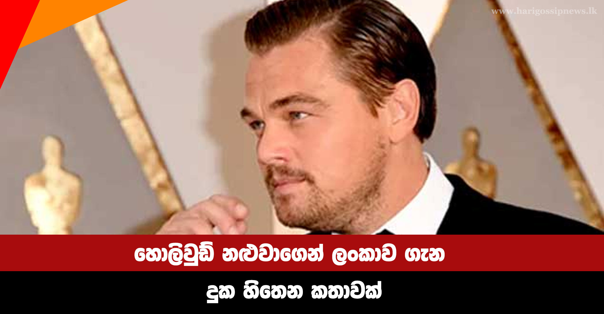 A sad story about Sri Lanka from a Hollywood actor
